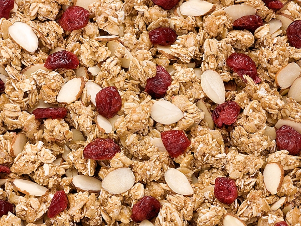 Terri Lynn Product - Almond Cranberry Granola